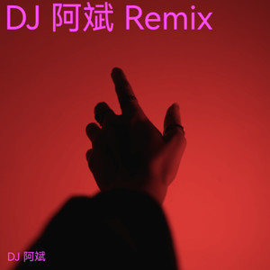 晚风心里吹 (DJ 阿斌 remix)封面