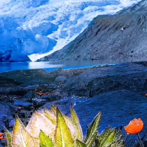 忘不了就别忘了