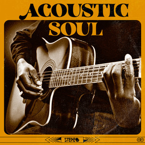 Acoustic Soul