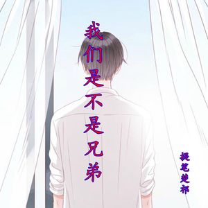 我们是不是兄弟 (DJ版)