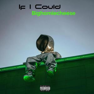 If I Could (Explicit)