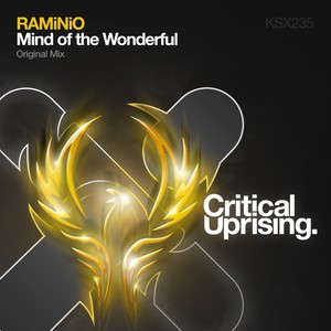 Mind of The Wonderful (Original Mix)