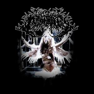 Kobe Bryant (Explicit)