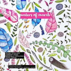 Waters of March (feat. Rose Stoller, Marcelo Woloski & Tony Davis)