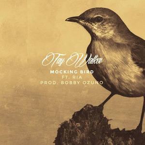 Mocking Bird