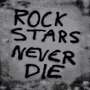 Rockstar Vibes (Explicit)