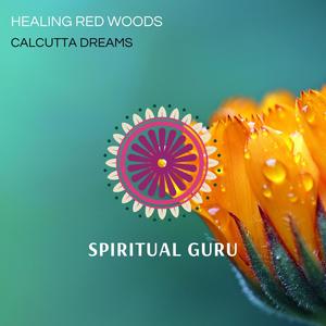Healing Red Woods (Original Mix)