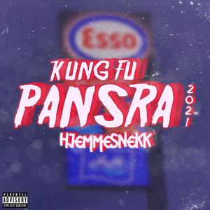 Kung Fu Pansra 2021(Hjemmesnekk) (Explicit)