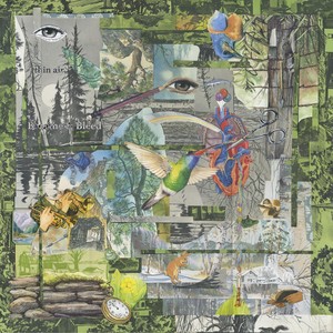 Balloon Boy (feat. Eyes Like Lanterns)