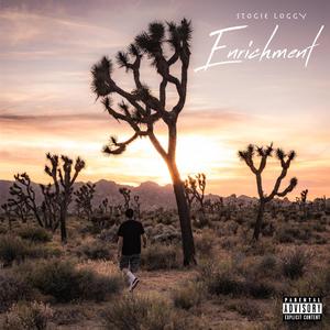 Innerbloom (feat. Devvlov) (Explicit)