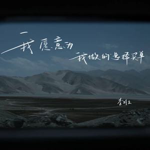 我愿意为我做的选择买单