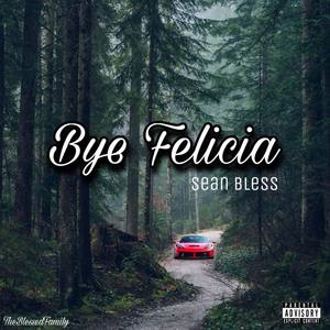 Bye Felicia (Explicit)