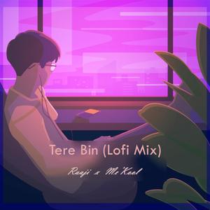 Tere Bin (feat. Raaji) [Lofi Mix]