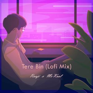 Tere Bin (feat. Raaji) (LoFi Mix)