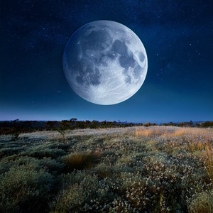 Una Noche Que Sostiene La Tierra