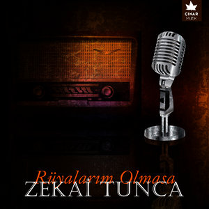 Yıllar Yağdı Saçlarıma