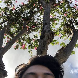 Soundcloud (Explicit)