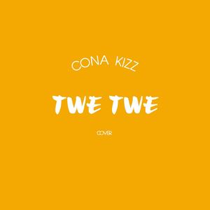 Twe Twe (Kizz Danie)