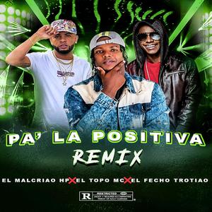 Pa La Positiva (feat. El Fecho RD & El Malcriao) (Remix)