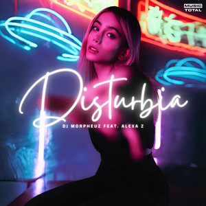 Disturbia (House Remix)