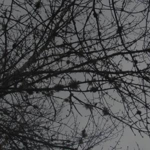 violence (feat. dollywood1, quannnic & lieu) (Explicit)