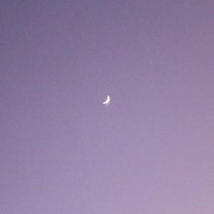moonlight-钢琴谱