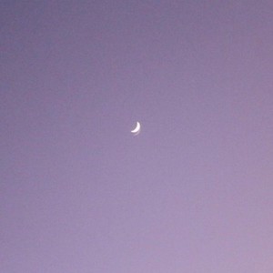 moonlight (灰与幻想的格林姆迦尔)