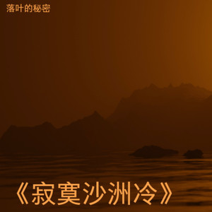 寂寞沙洲冷