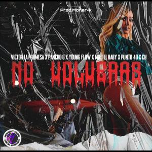 No volverás (feat. Pancho G, Punto40, Victor la promesa, Youngflow, Milo el baby & CH) (Explicit)