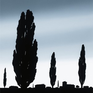 Sometimes Gray
