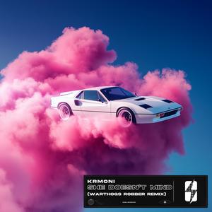 She Doesn’t Mind (Warthogs Robber Remix)