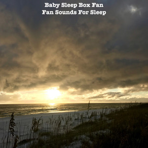 Baby Sleep Box Fan