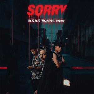 Sorry (feat. Mc 2D do BG & Mc Duzim)