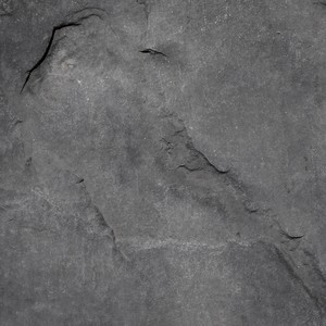 Penseés Circulaires