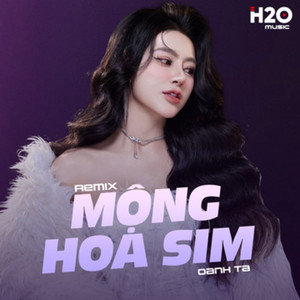Mộng Hoa Sim (Remix)