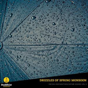 Drizzles of Spring Monsoon - Mid Day and Night Rain Nature Sounds, Vol. 2