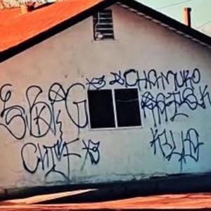 Turnt Up (feat. Gordo) (Explicit)
