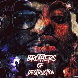 Brothers of Destruction (Explicit)