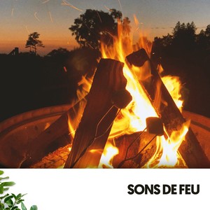 Sons de Feu : Fusion Flamenco