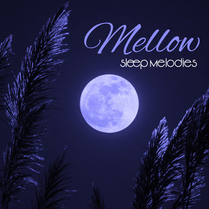 Mellow Sleep Melodies