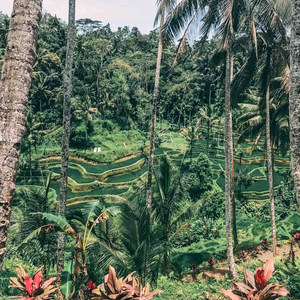 Real Talk (Explicit)