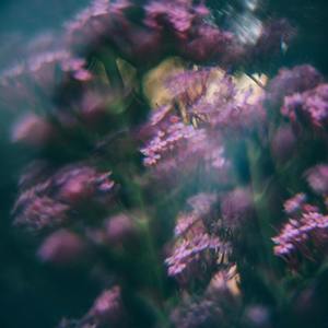 Graceful Exclamations