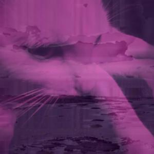 UWONTGOFAR (Explicit)