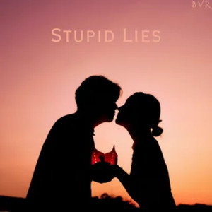 Stupid Lies