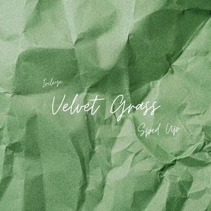 Velvet Grass (Sped Up) (Explicit)