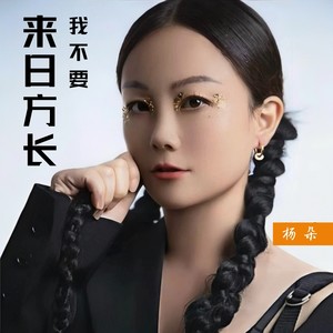 我不要来日方长 (DJ范小松版伴奏)封面