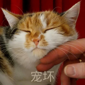 如果的事-洛小菲