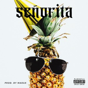 Señorita (Explicit)