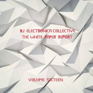 DJ Electronica Collective: The White Paper, Vol. 16