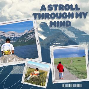 A stroll through my mind